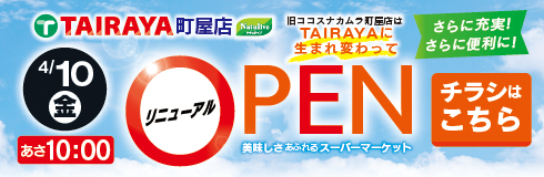 TAIRAYA町屋店のチラシを見る
