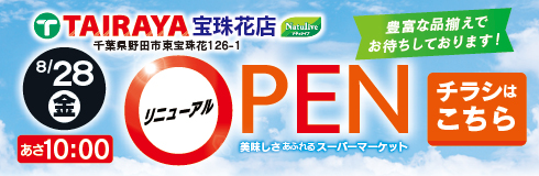 TAIRAYA宝珠花店のチラシを見る
